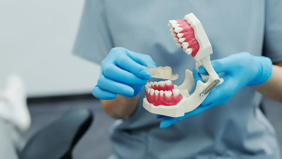 Close-up of a dental professional demonstrating with a teeth model in a clinic setting.