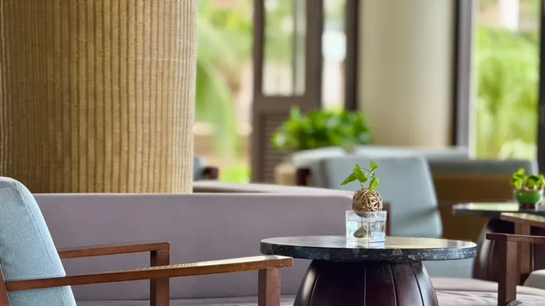 Comfortable indoor lounge with wooden furniture and greenery.